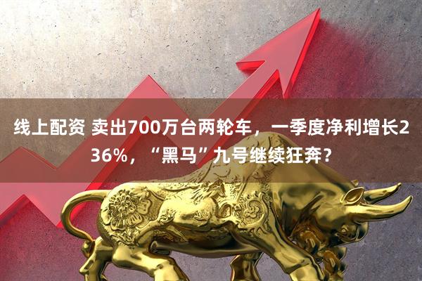 线上配资 卖出700万台两轮车，一季度净利增长236%，“黑马”九号继续狂奔？
