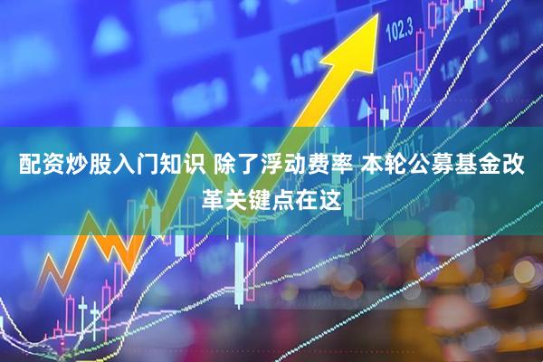 配资炒股入门知识 除了浮动费率 本轮公募基金改革关键点在这
