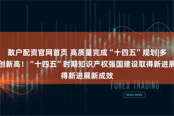 散户配资官网首页 高质量完成“十四五”规划|多项数据创新高！“十四五”时期知识产权强国建设取得新进展新成效