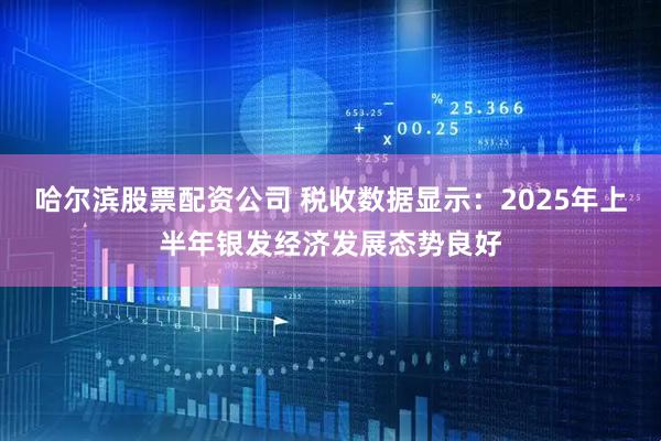 哈尔滨股票配资公司 税收数据显示：2025年上半年银发经济发展态势良好