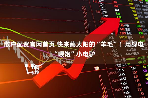 散户配资官网首页 快来薅太阳的“羊毛”！用绿电“喂饱”小电驴